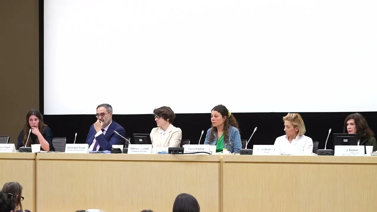 Intervention de Fanny Prigent à l'Assemblée nationale, avril 2026